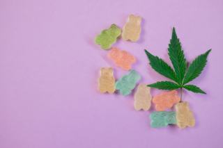 CBD Sativa : caractéristiques et utilisations