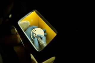 Moules ouvertes avant cuisson : danger ou pas ?